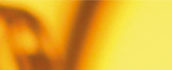 Tipps und Tricks zur Datenbank-Komponente (DBC) von NetObjects Fusion